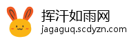 挥汗如雨网